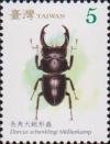 Colnect-3064-686-Long-fanged-Stag-Beetle-Dorcus-schenklingi.jpg