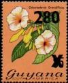 Colnect-4734-807-Odontadenia-grandiflora.jpg