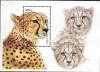 Colnect-5197-060-Cheetah-Acinonyx-jubatus.jpg
