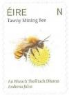 Colnect-5940-499-Tawny-Mining-Bee.jpg