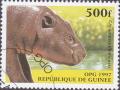 Colnect-2040-448-Pygmy-Hippopotamus-Choeropsis-liberiensis.jpg