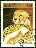 Colnect-2571-402-Cheetah-Acinonyx-jubatus.jpg