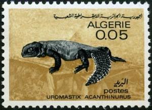 Colnect-1548-199-North-African-Spiny-tailed-Lizard-Uromastix-acanthinurus.jpg