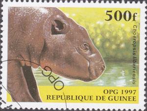 Colnect-2040-448-Pygmy-Hippopotamus-Choeropsis-liberiensis.jpg