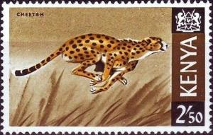 Colnect-2563-607-Cheetah-Acinonyx-jubatus.jpg