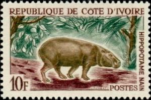 Colnect-2746-886-Pygmy-Hippopotamus-Choeropsis-liberiensis-.jpg