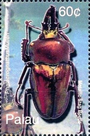 Colnect-3522-432-Metallic-stag-beetle.jpg