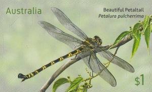 Colnect-4265-697-Beautiful-Petaltail-Petalura-pulcherrima.jpg