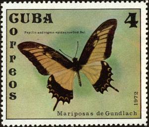 Colnect-4828-606-Androgeus-Swallowtail-Papilio-androgeus-epidaurus.jpg