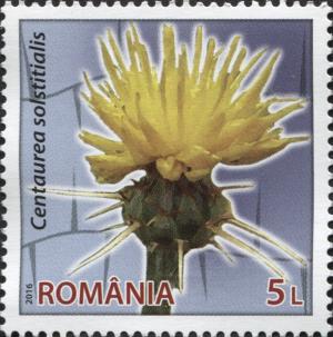 Colnect-5170-454-Centaurea-solstitialis.jpg