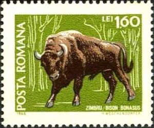 European_bison_on_stamps_Romania_1968.jpg