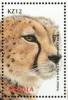 Colnect-5200-371-Cheetah-Acinonyx-jubatus.jpg