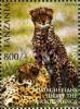 Colnect-1696-295-Cheetah-Acinonyx-jubatus.jpg