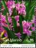 Colnect-5154-390-Tassel-hyacinths.jpg