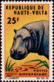 Colnect-508-200-Pygmy-Hippopotamus-Choeropsis-liberiensis.jpg