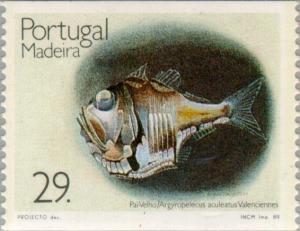 Colnect-186-509-Atlantic-Silver-Hatchetfish-Argyropelecus-aculeatus.jpg