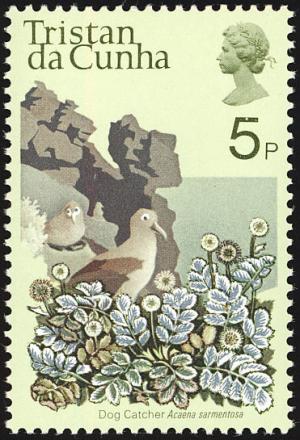 Colnect-1967-018-Dog-catcher-and-albatrosses.jpg