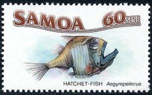 Colnect-2536-006-Atlantic-Silver-Hatchetfish-Argyropelecus-aculeatus.jpg