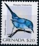 Colnect-4189-520-Blue-grey-Gnatcatcher-Polioptila-caerulea.jpg