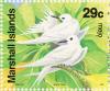 Colnect-1003-185-White-Tern-Gygis-alba.jpg