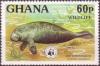 Colnect-1718-810-African-Manatee-Trichechus-senegalensis.jpg