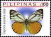 Colnect-2500-200-Pierid-Butterfly-Cepora-aspasia-olga.jpg