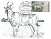 Colnect-2618-046-African-Antelope-Pontoceros-Ambiguus.jpg