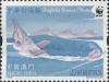 Colnect-5296-779-Chinese-White-Dolphin-Sousa-chinensis.jpg