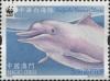 Colnect-5296-782-Chinese-White-Dolphin-Sousa-chinensis.jpg