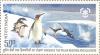 Colnect-545-453-King-Penguin-Aptenodytes-patagonicus-Gentoo-Penguin-Pygo.jpg