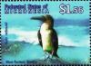 Colnect-5727-298-Blue-footed-booby-Sula-nebouxii.jpg