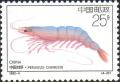 Colnect-1480-070-Chinese-White-Shrimp-Penaeus-chinesis.jpg