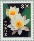 Colnect-162-683-White-Water-lily-Nymphaea-alba.jpg