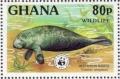 Colnect-1718-814-African-Manatee-Trichechus-senegalensis.jpg