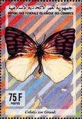 Colnect-3467-867-Butterfly-Colotis-zoe.jpg