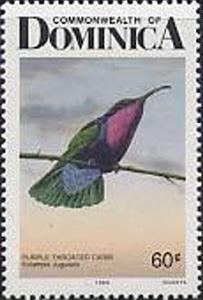 Colnect-2268-619-Purple-throated-Carib-Eulampis-jugularis.jpg