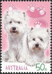 Colnect-2096-285-West-Highland-White-Terrier-Canis-lupus-familiaris.jpg