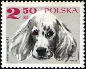Colnect-2114-271-English-Setter-Canis-lupus-familiaris.jpg