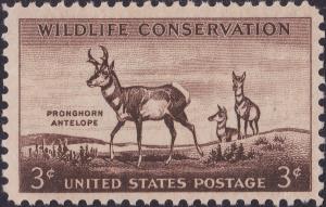 Colnect-3077-055-Pronghorn-Antelope-Antilocapra-americana.jpg