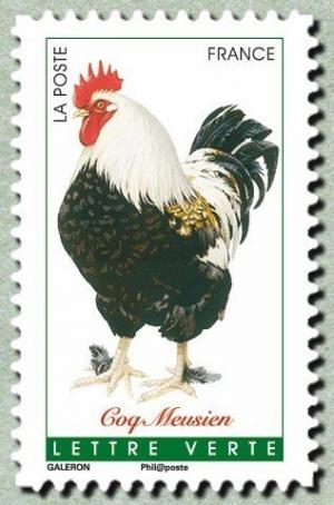 Colnect-3148-421-Meusien-Rooster-Gallus-gallus-domesticus.jpg