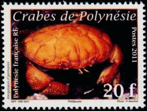 Colnect-3977-453-Crab-Atergatopsis-germanini.jpg