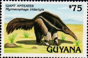 Colnect-4910-610-Giant-Anteater-Myrmecophaga-tridactyla.jpg