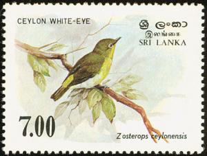 Colnect-862-159-Sri-Lanka-White-eye-Zosterops-ceylonensis.jpg
