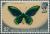 Colnect-3960-319-Birdwing-Butterfly-Ornithoptera-allotti.jpg
