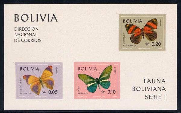 Skap-bolivia_02_butterflies_c306a_ss.jpg