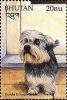 Colnect-3377-313-Dandie-Dinmont-Terrier-Canis-lupus-familiaris.jpg