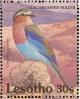Colnect-1725-576-Lilac-breasted-Roller-Coracias-caudata.jpg
