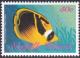 Colnect-2502-141-Raccoon-Butterflyfish-Chaetodon-lunula.jpg