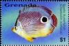 Colnect-4631-041-Spotfin-butterflyfish.jpg