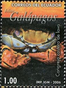 Colnect-5837-364-Sally-Lightfoot-Crab-Grapsus-grapsus.jpg